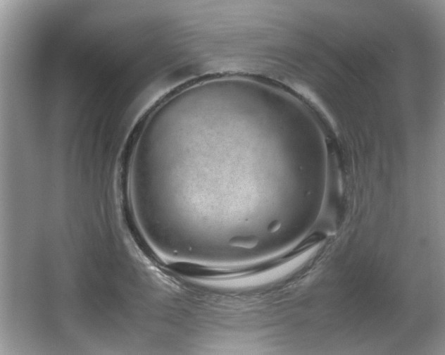 X0000067000983200603241338
