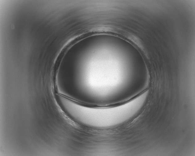 X0000067000984200603241337