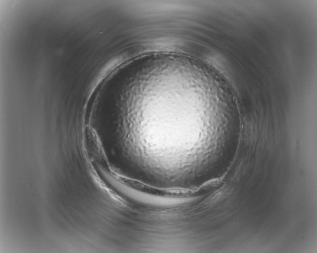 X0000067000994200603241337