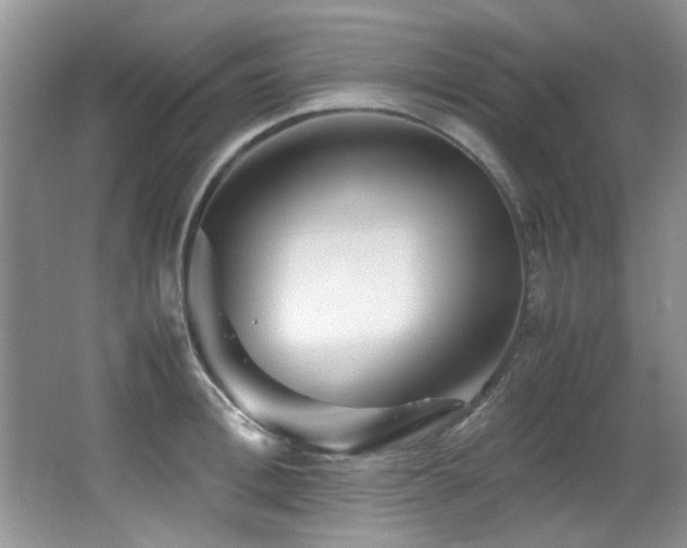 X0000067000996200603241337