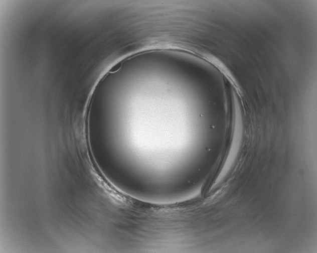 X0000067001004200603241337