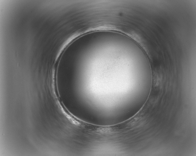 X0000067001006200603241337