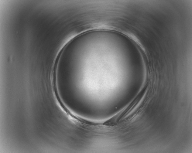X0000067001007200603241337