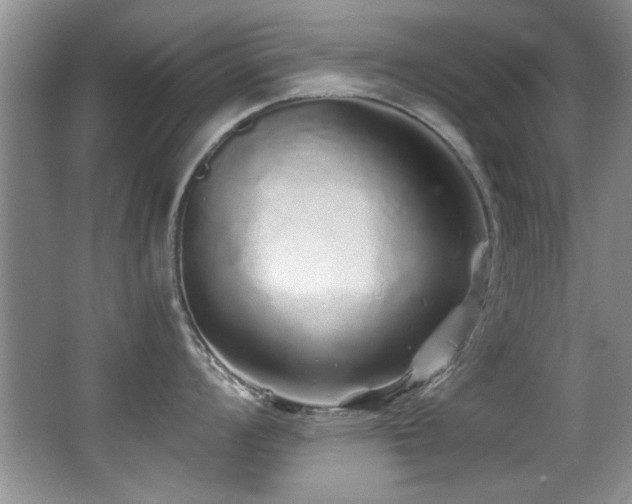 X0000067001008200603241337