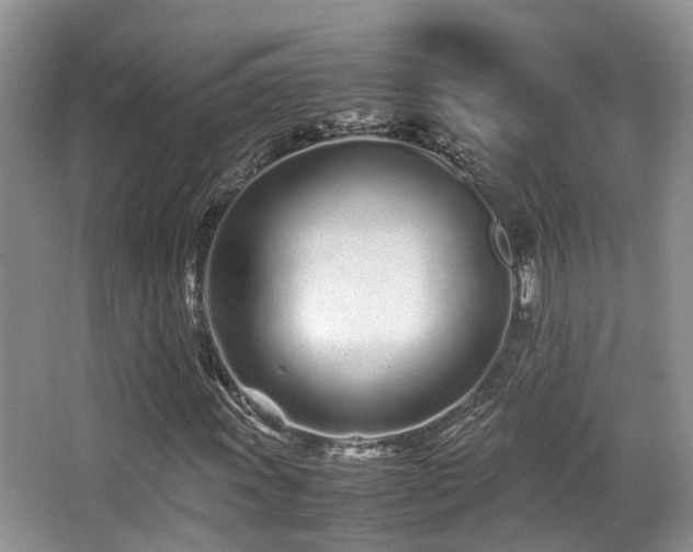 X0000067001011200603241336