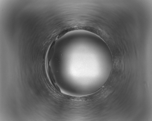 X0000067001012200603241336