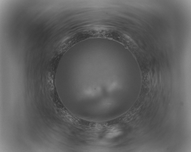 X0000067001013200603241336