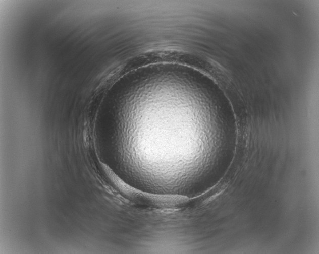 X0000067001014200603241336