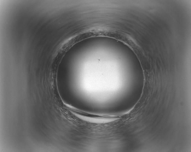 X0000067001016200603241336