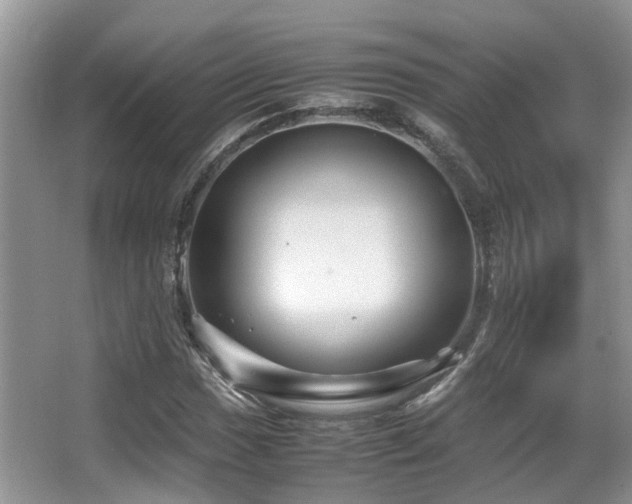 X0000067001017200603241336