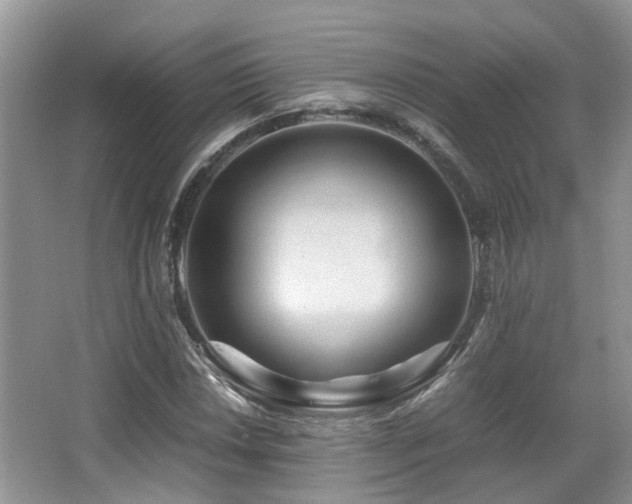 X0000067001018200603241336