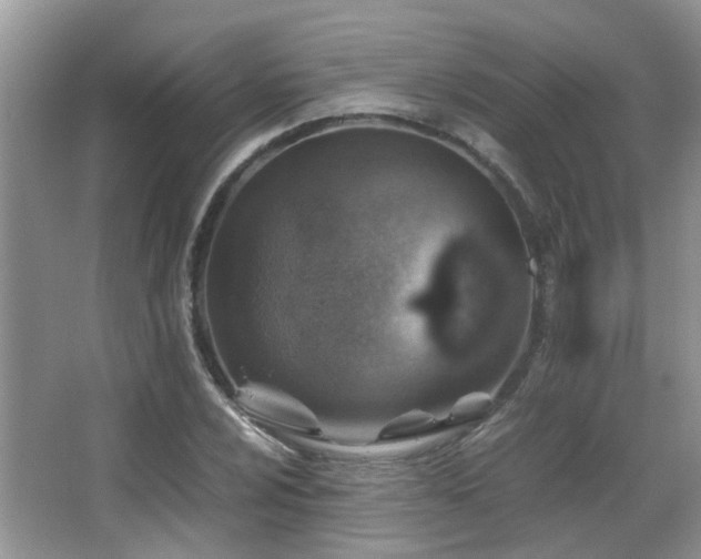 X0000067001024200603241337