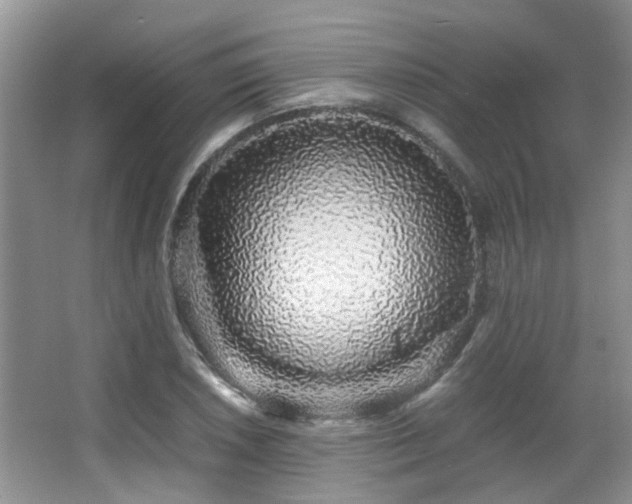 X0000067001026200603241337