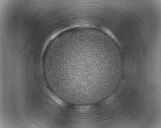 X0000067001027200603241337