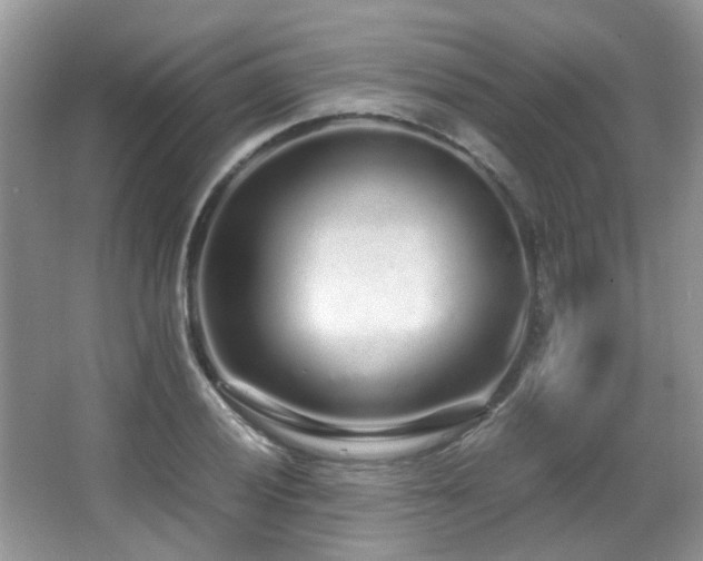 X0000067001028200603241337