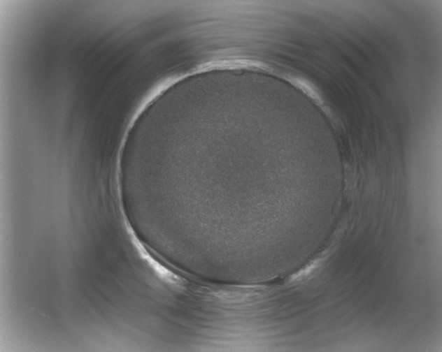 X0000067001046200603241337