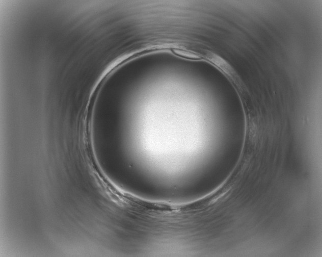 X0000067001052200603241337
