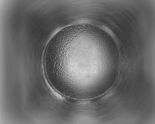 X0000067001055200603241337