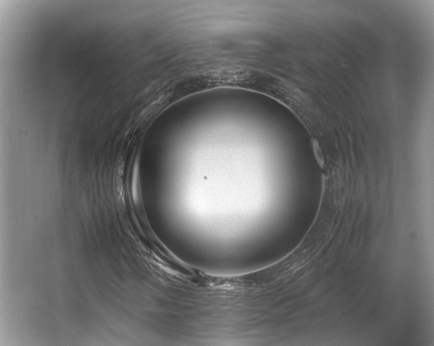 X0000067001058200603241336