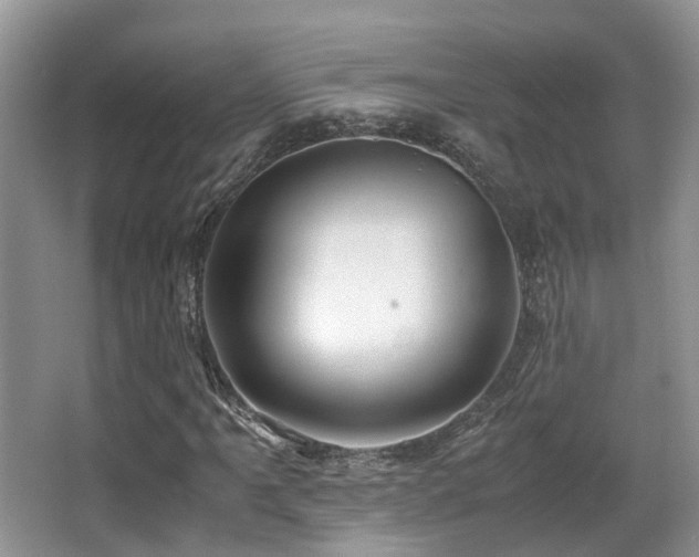 X0000067001061200603241336