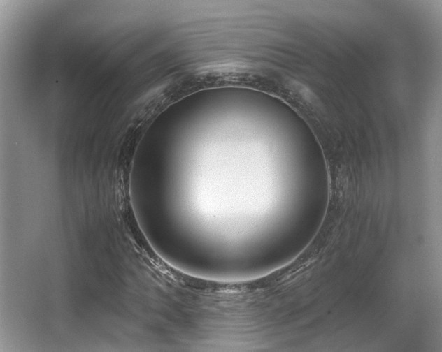 X0000067001062200603241336