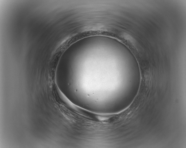 X0000067001064200603241336