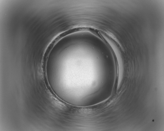 X0000067001068200603241336