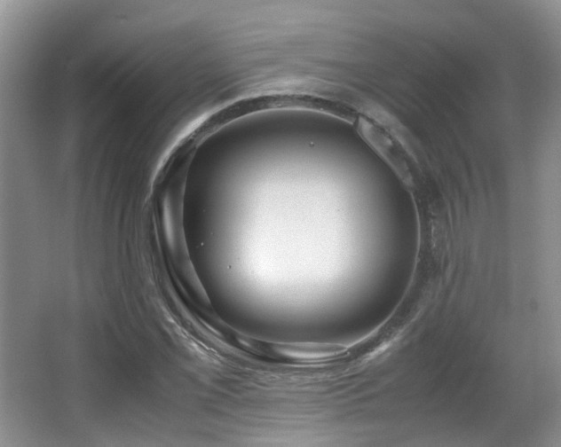 X0000067001069200603241336