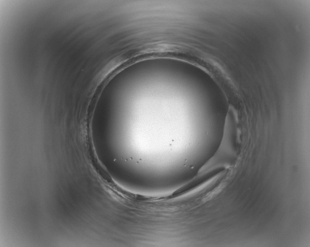 X0000067001073200603241336