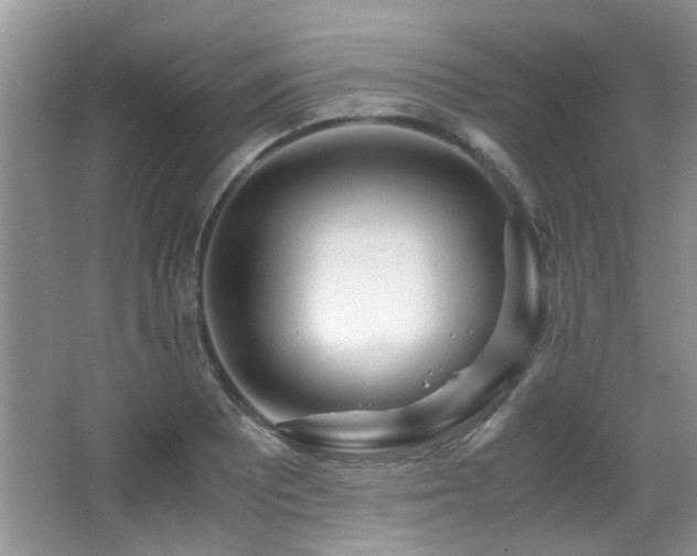 X0000067001081200603241336