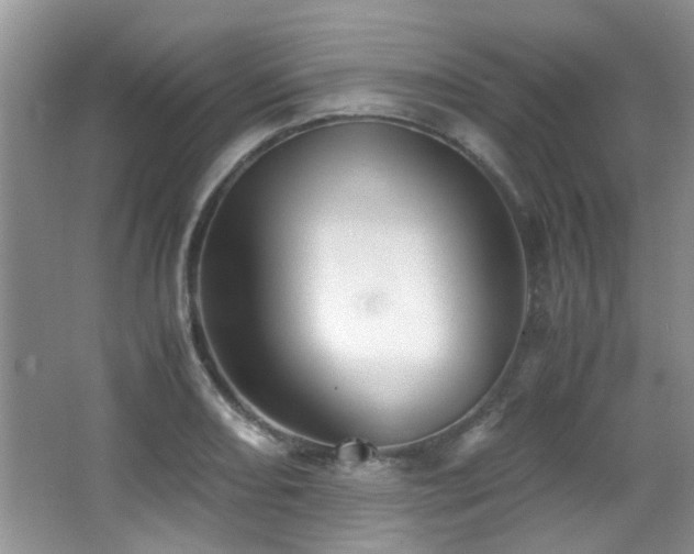 X0000067001082200603241336