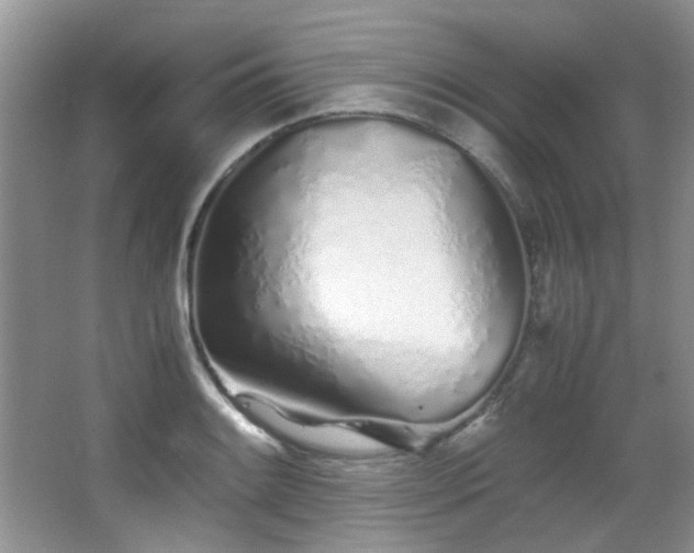 X0000067001084200603241336