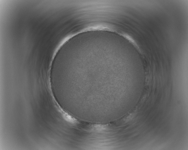 X0000067001086200603241336