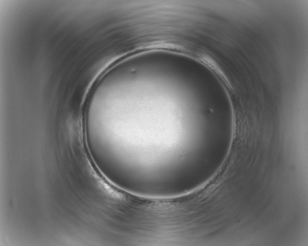 X0000067001092200603241336