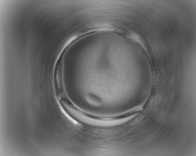 X0000067001095200603241336
