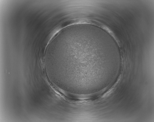 X0000067001097200603241336