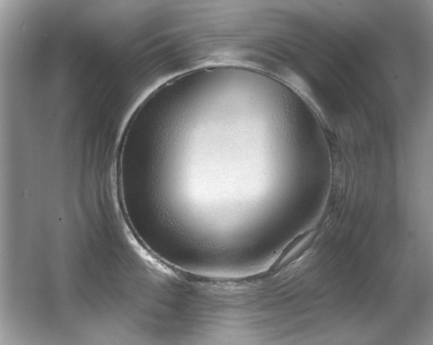 X0000067001100200603241336
