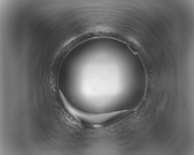 X0000067001112200603241335