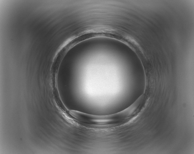 X0000067001114200603241335