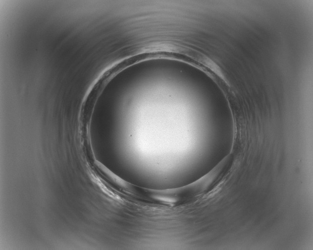 X0000067001116200603241335