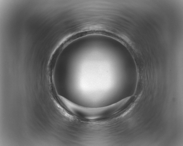 X0000067001118200603241335
