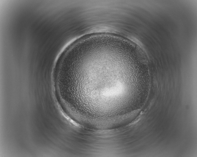 X0000067001120200603241335