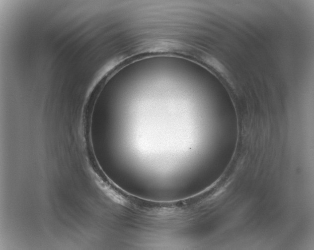 X0000067001122200603241335