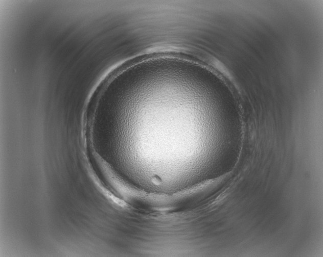 X0000067001124200603241335