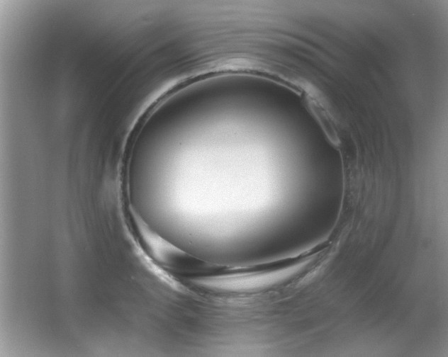 X0000067001134200603241335