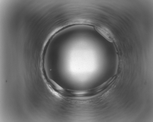 X0000067001136200603241335