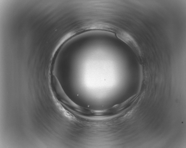X0000067001138200603241335