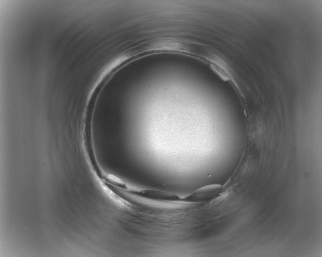 X0000067001139200603241335