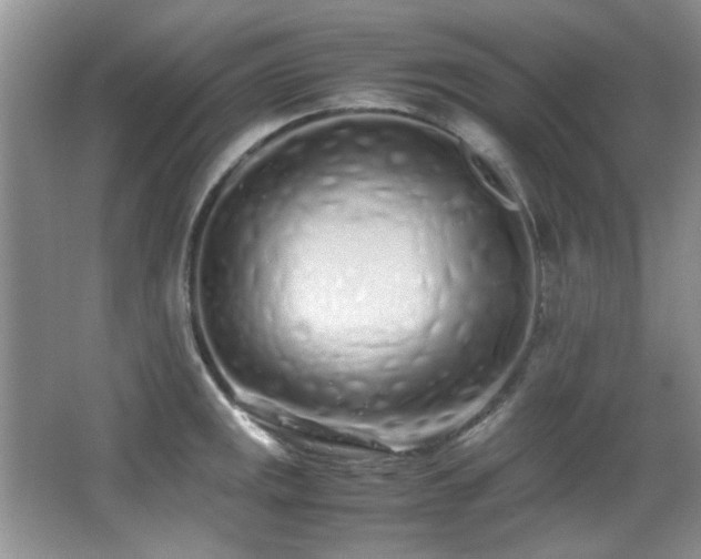 X0000067001141200603241335