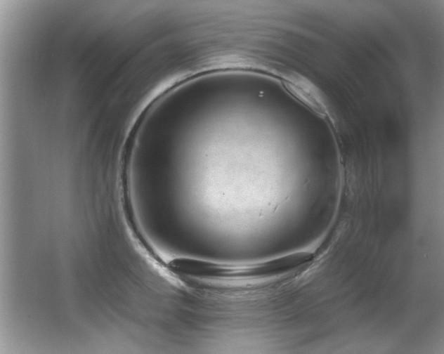 X0000067001142200603241335